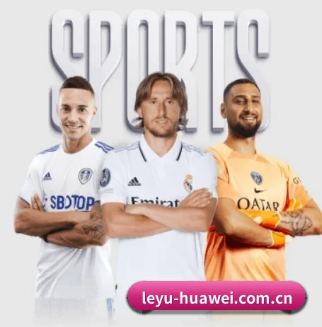 五大服务分区,信息按项目分类 - leyu